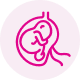 Fetus in womb